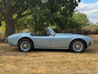 Cobra Ostatní modely AC 1971