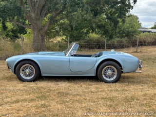 Cobra Ostatní modely AC 1971