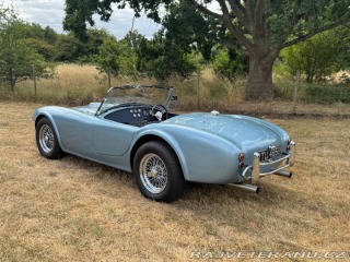 Cobra Ostatní modely AC 1971