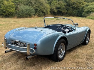 Cobra Ostatní modely AC 1971