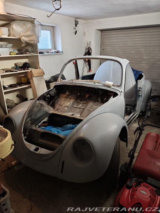 Volkswagen Brouk 