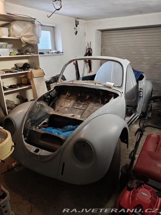 Volkswagen Brouk  1800