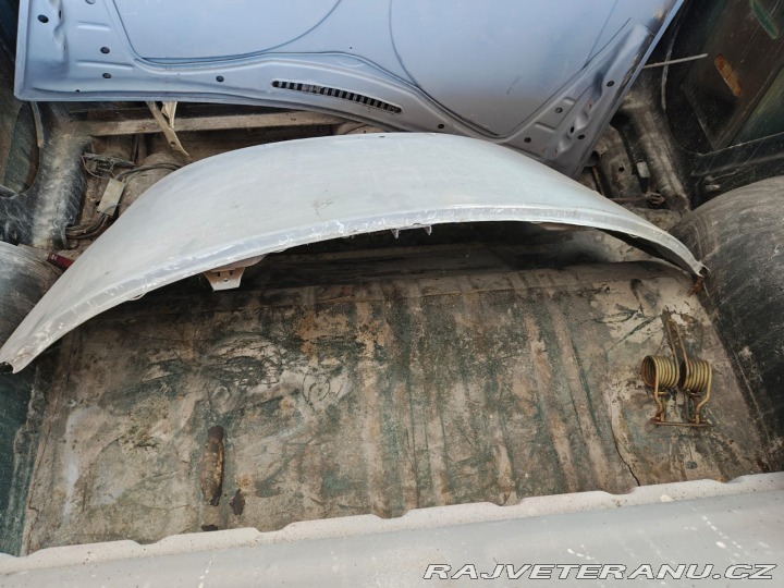 Volkswagen Brouk  1800
