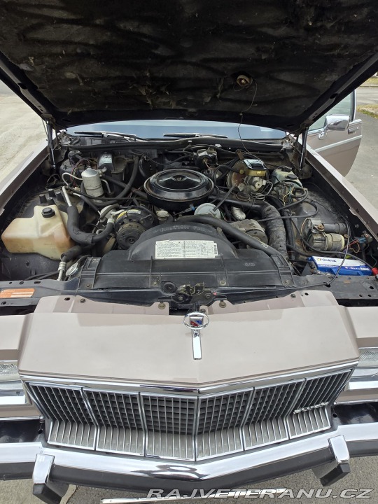 Buick Electra Park Avenue 1983