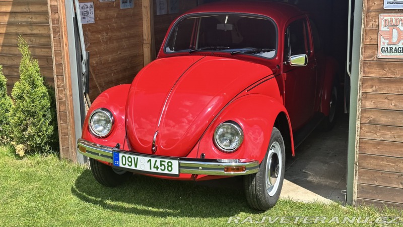 Volkswagen Brouk 11