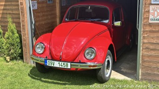 Volkswagen Brouk 11