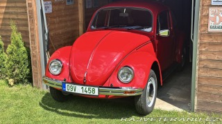 Volkswagen Brouk 11 1984