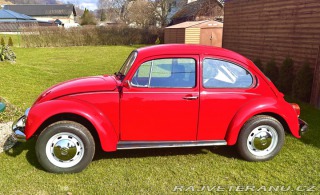 Volkswagen Brouk 11 1984