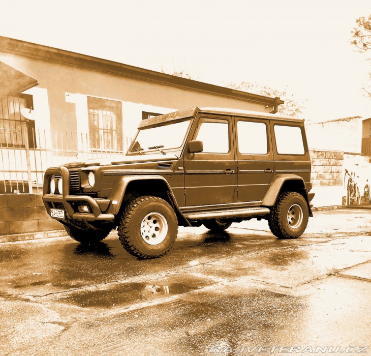 Mercedes-Benz G W463 - 500-ORC