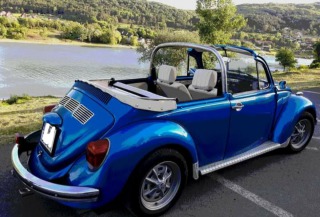 Volkswagen Brouk 