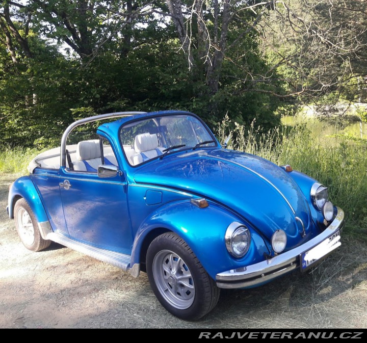 Volkswagen Brouk 1974
