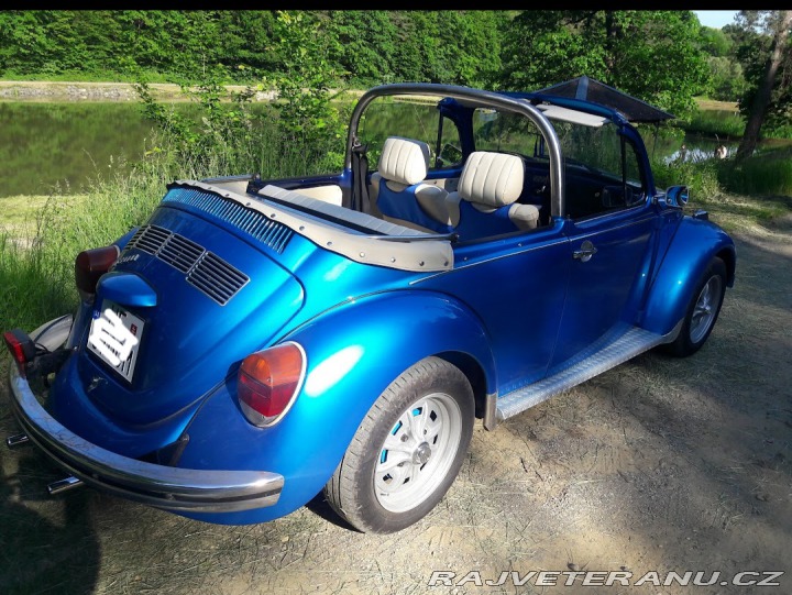 Volkswagen Brouk 1974