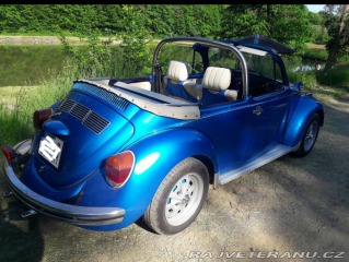 Volkswagen Brouk 1974