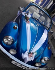 Volkswagen Brouk 1974