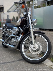Harley-Davidson XL Sportster 1200 Anniversar