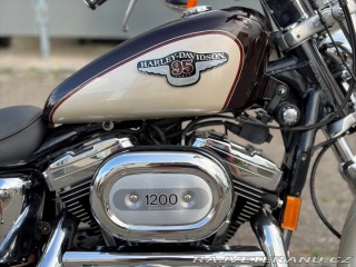 Harley-Davidson Ostatní modely Electra Glide Anniversary 1998