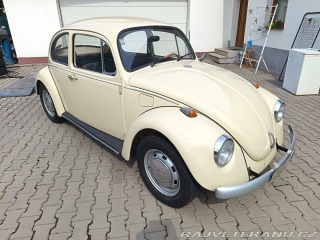 Volkswagen Brouk 