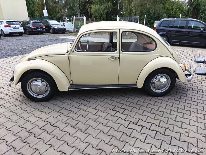 Volkswagen Brouk 1971