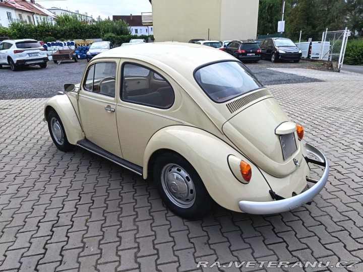 Volkswagen Brouk 1971