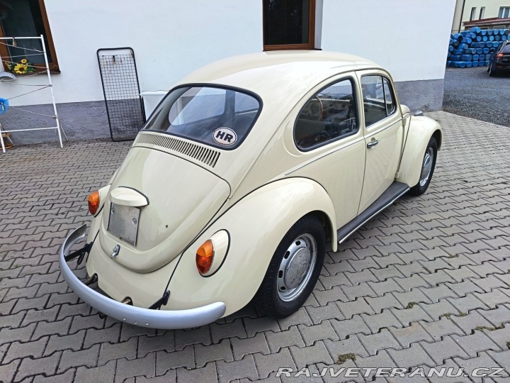 Volkswagen Brouk 1971