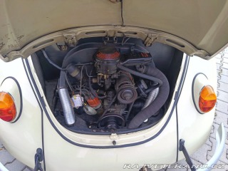Volkswagen Brouk 1971