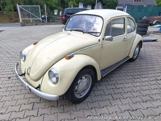Volkswagen Brouk 1971