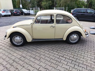 Volkswagen Brouk 1971