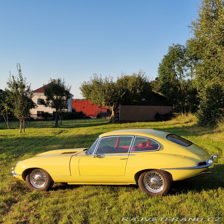 Jaguar E-Type Jaguar E-Type 1 serie 4,2 1968