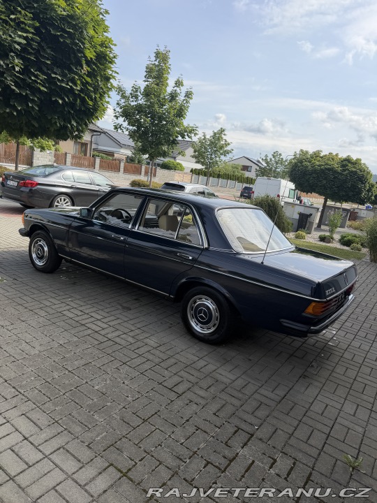 Mercedes-Benz 230  1982