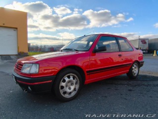 Peugeot 309 GTI 1987