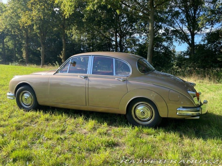 Daimler Ostatní modely Saloon 1965