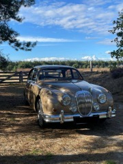 Daimler Ostatní modely Saloon 1965