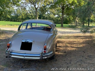 Daimler Ostatní modely Saloon 1965
