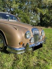 Daimler Ostatní modely Saloon 1965