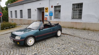 Peugeot 205 Cti 1991