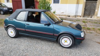 Peugeot 205 Cti 1991