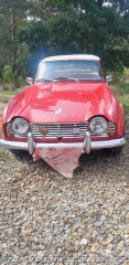 Triumph TR4  1964