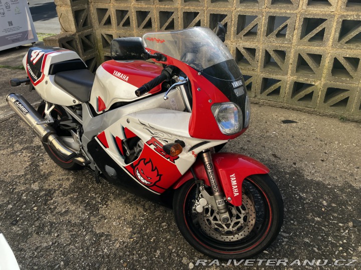 Yamaha FZ FZR 600R 1994