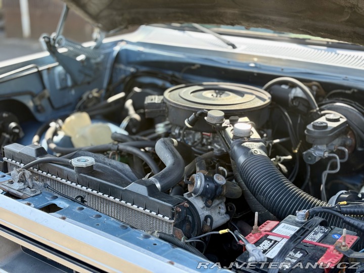Dodge D 150 ROYAL SE 1986