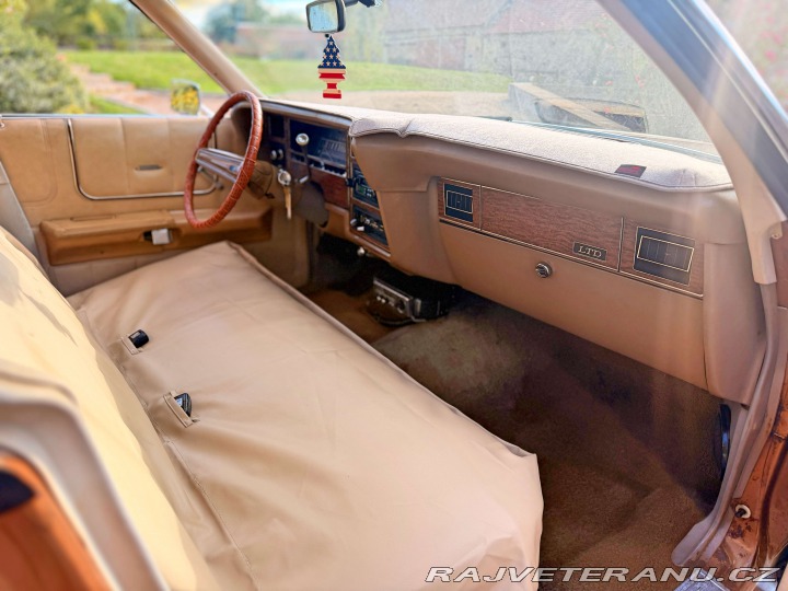Ford LTD 5.8 V8 | 351-2V 1973
