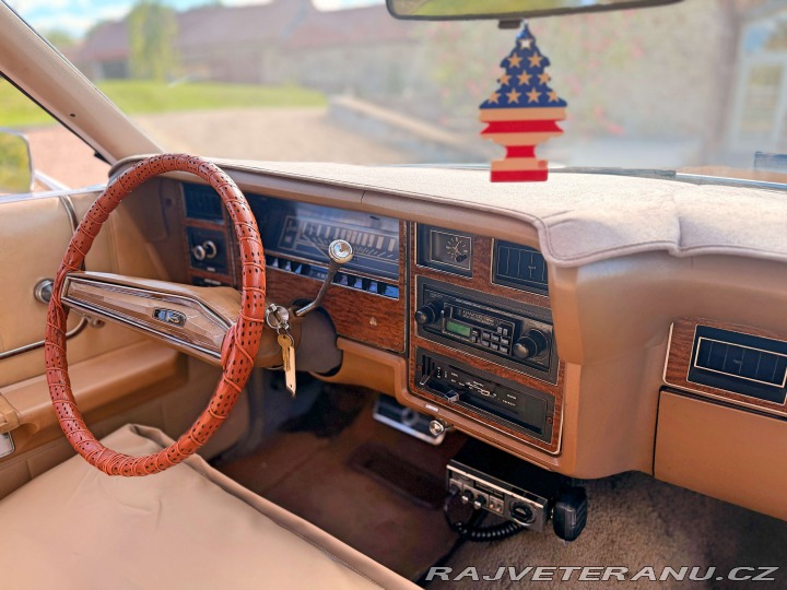 Ford LTD 5.8 V8 | 351-2V 1973