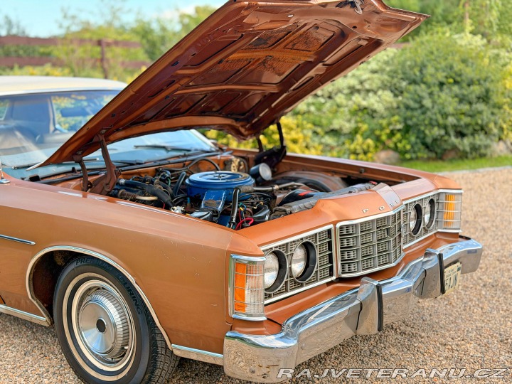Ford LTD 5.8 V8 | 351-2V 1973