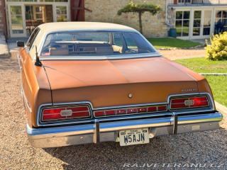 Ford LTD 5.8 V8 | 351-2V 1973
