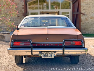 Ford LTD 5.8 V8 | 351-2V 1973