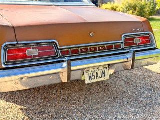 Ford LTD 5.8 V8 | 351-2V 1973