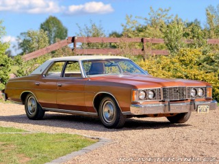 Ford LTD 5.8 V8 | 351-2V 1973