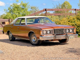 Ford LTD 5.8 V8 | 351-2V 1973