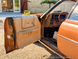 Ford LTD 5.8 V8 | 351-2V 1973