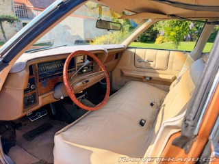 Ford LTD 5.8 V8 | 351-2V 1973
