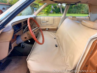 Ford LTD 5.8 V8 | 351-2V 1973